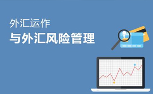 外匯風(fēng)險(xiǎn)管理的主要方法