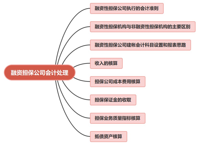 融資擔保公司會計賬務處理