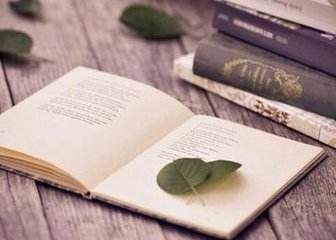 美國最好的公立大學(xué)有哪些學(xué)校